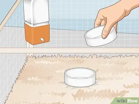 Image titled Ensure a Happy Life for Your Guinea Pig Step 7