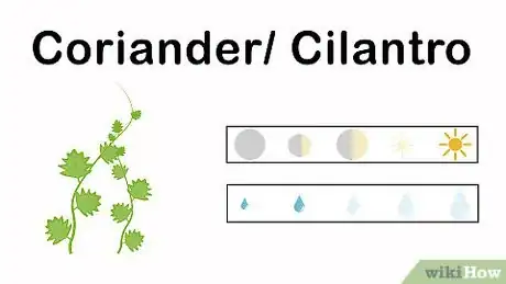 Image titled Grow an Herbal Tea Garden Step 11