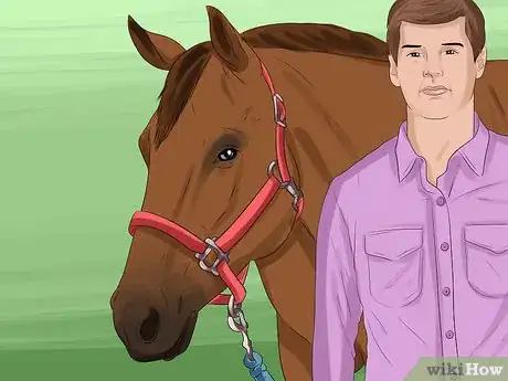 Image titled Put a Lead Rope on a Horse Step 6