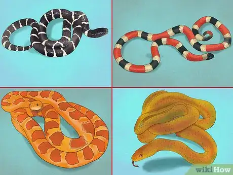 Image titled Choose the Right Reptile as a Pet Step 2