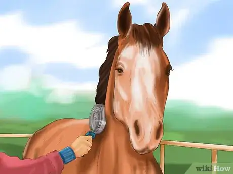 Image titled Care for Your Horse In the Winter Step 8
