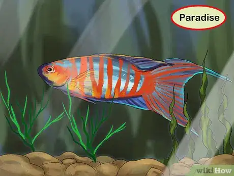 Image titled Buy a Fish for a Child Step 3