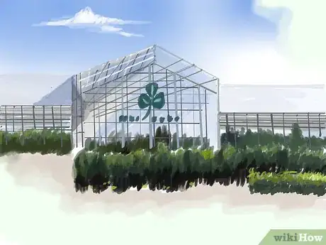 Image titled Care for Tiger Bark Ficus Bonsai Tree Step 3