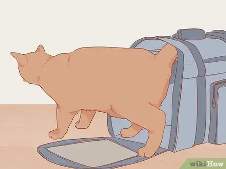 Image titled Introduce a Cat That Used to Belong to Someone Else to Your Home Step 8