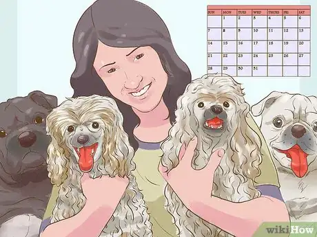 Image titled Get a Companion Dog for an Existing Dog Step 7