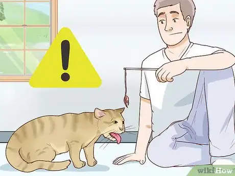 Image titled Handle Brachycephalic Airway Syndrome in Cats Step 6