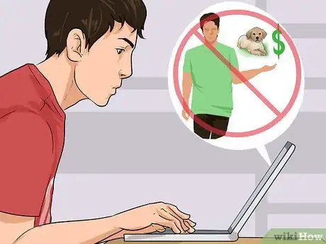 Image titled Buy a Labrador Retriever Puppy Step 18