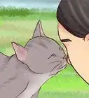 Get Your Cat to Know and Love You