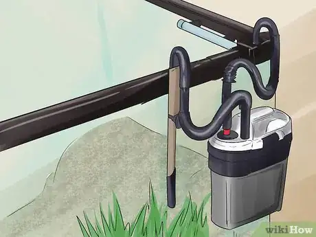 Image titled Buy a Turtle Step 12