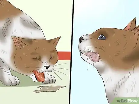 Image titled Protect Your Cat from Household Hazards Step 13