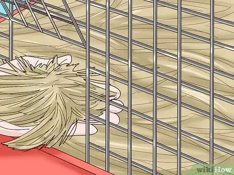 Image titled Care for a Polish Rabbit Step 2