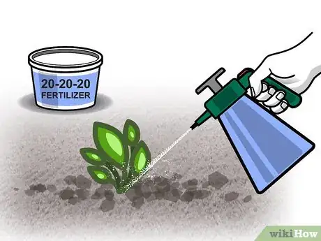 Image titled Grow Biennial Vegetables Step 06