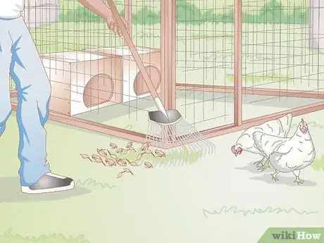 Image titled Look After Baby Chicks Step 12