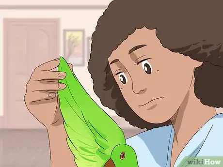 Image titled Groom Lories and Lorikeets Step 9