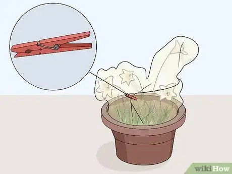 Image titled Use Horticultural Fleece Step 13