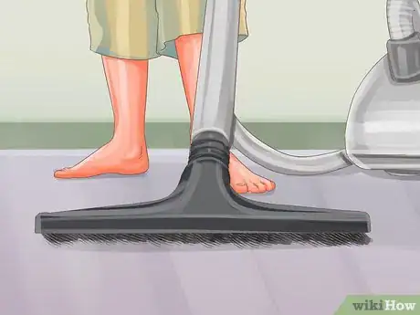 Image titled Diagnose Seasonal Allergies in Cats Step 11