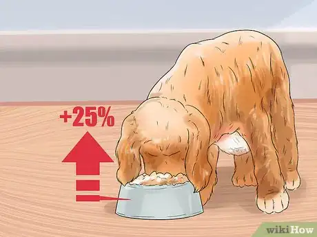 Image titled Breed Scottish Cocker Spaniels Step 16