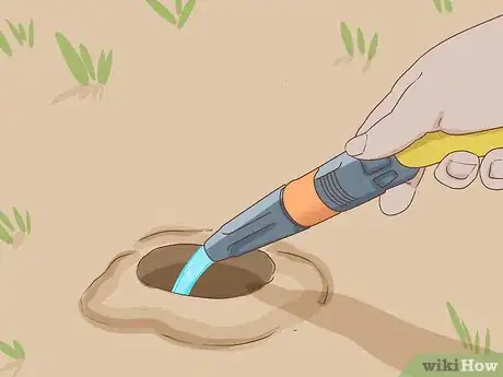 Image titled Get Rid of Garden Moles Step 6