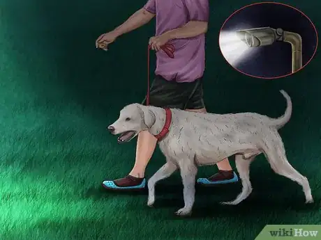 Image titled Walk Your Dog at Night Step 10
