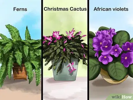 Image titled Choose Safe Houseplants when You Have a Cat Step 2