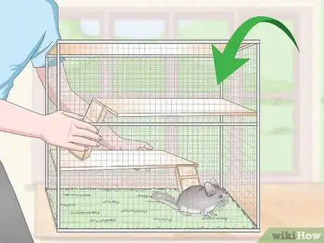 Image titled Keep a Chinchilla Calm Step 11