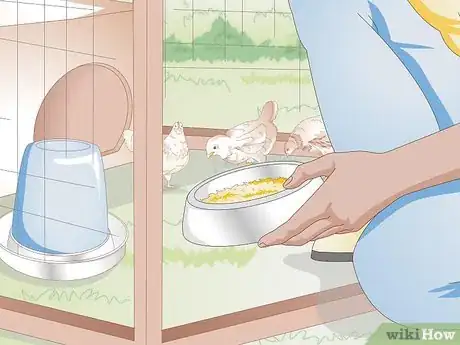 Image titled Look After Baby Chicks Step 11