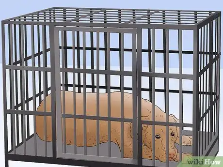 Image titled Keep Your Dog Calm After Neutering Step 4