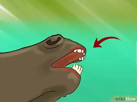 Image titled Take a Horse's Vital Signs Step 13