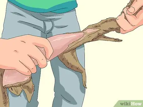 Image titled Skin a Squirrel Step 10
