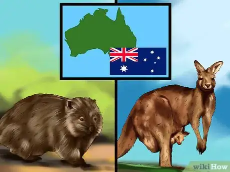 Image titled Choose a Vacation Destination for Animal Lovers Step 4