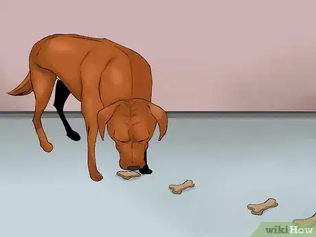 Image titled Catch a Runaway Dog Step 11