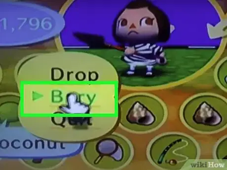 Image titled Plant a Coconut Tree in Animal Crossing_ City Folk Step 8