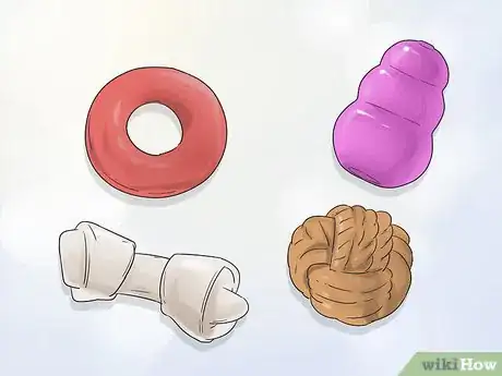 Image titled Give Dogs What They Need Step 3