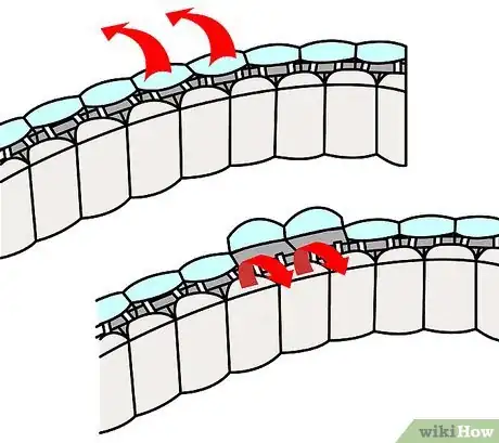 Image titled Remove Watch Band Links Step 16