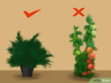 Image titled Compost Dog Poop Step 7