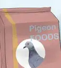 Tame Pigeons to Be out of Cage Permanently