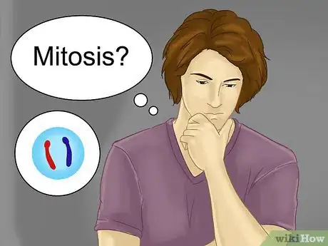 Image titled Differentiate Between Mitosis and Meiosis Step 1