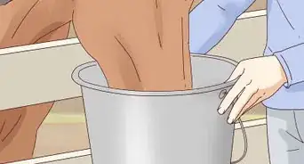 Prepare Fruit and Vegetables for Horses