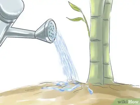 Image titled Cultivate Bamboo Step 6