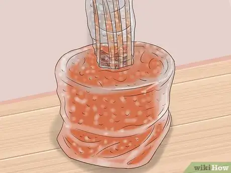 Image titled Maintain a Planter Step 3