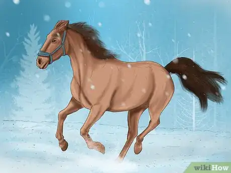 Image titled Care for Your Horse In the Winter Step 4
