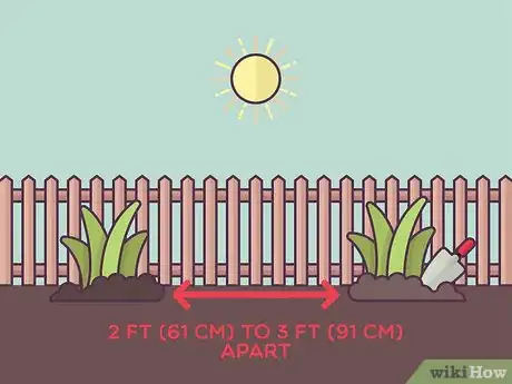 Image titled Plant Daylilies Step 10