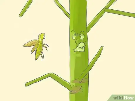 Image titled Grow a Pencil Tree (Euphorbia Tirucalli) Step 7