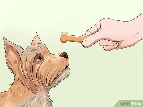 Image titled Teach Your Dog to Speak Step 13