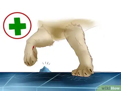 Image titled Protect Your Dog Around Backyard Pools Step 9