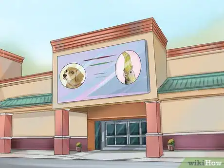 Image titled Buy a Pet Cockatiel Step 5