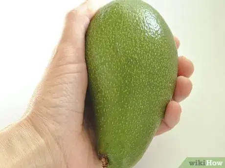 Image titled Grow an Avocado As a Houseplant Step 1