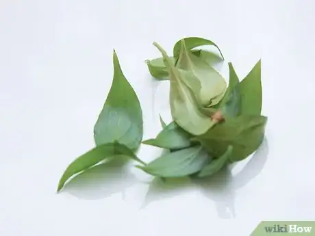 Image titled Infuse Herbs Step 21