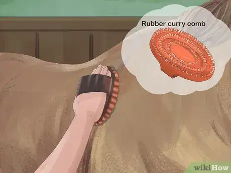 Image titled Brush a Horse Step 6