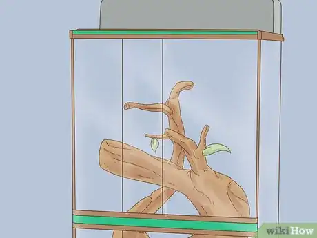 Image titled Buy a Chameleon Step 10